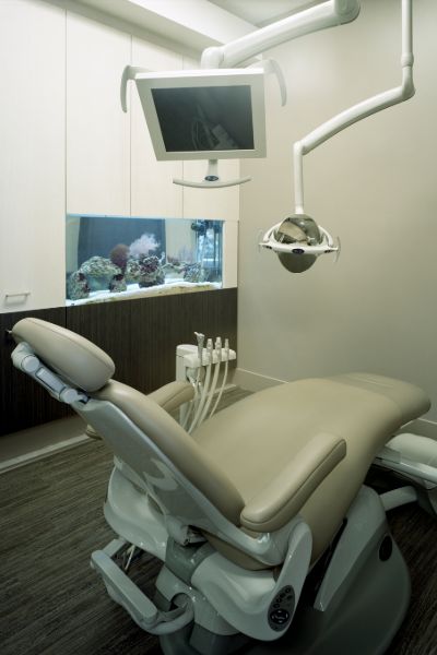 Tooth Spa Dental Chair